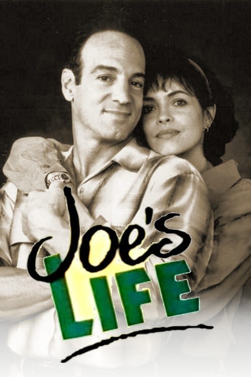 Joe's Life