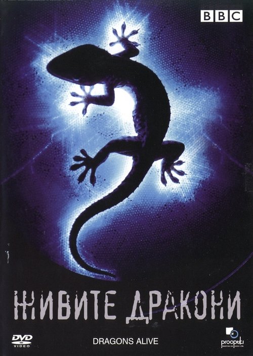 Dragons Alive