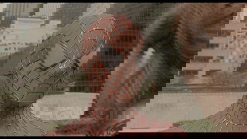 Capture of Spider-Man
