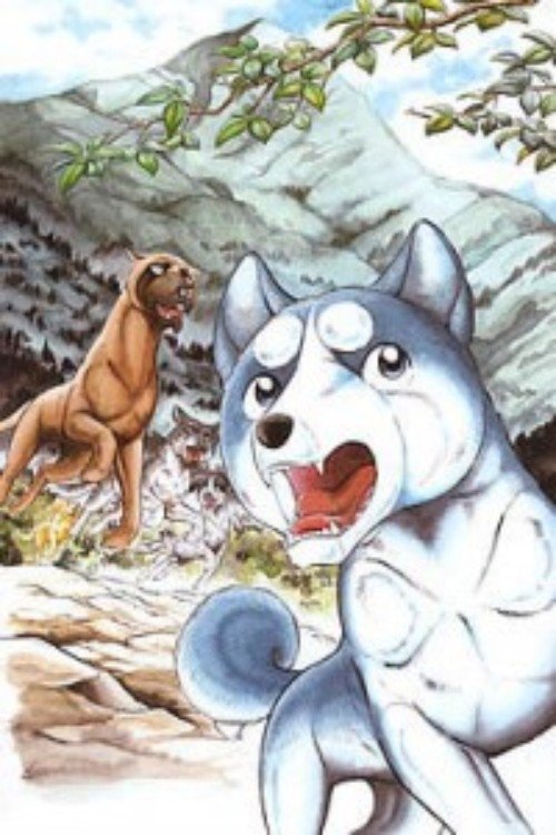 銀牙伝説ウィード (2005) TV Show