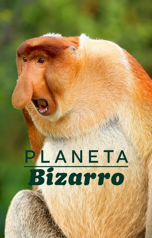 Planeta Bizarro