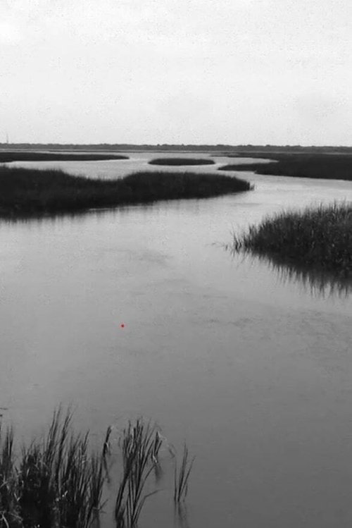 Nonton film In The Reeds (1970) terbaru sub indo Nonton film In The Reeds (1970) terbaru sub indo
