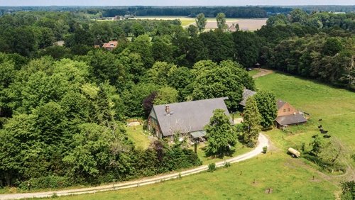 Das Sommerhaus der Stars - Kampf der Promipaare