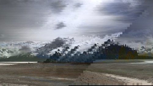 Population Zero
