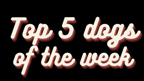Top 5 Dogs of the weeks