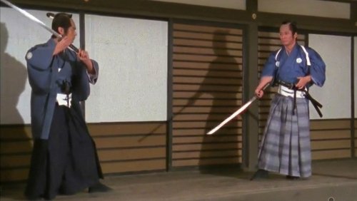 Swordsman For Hire