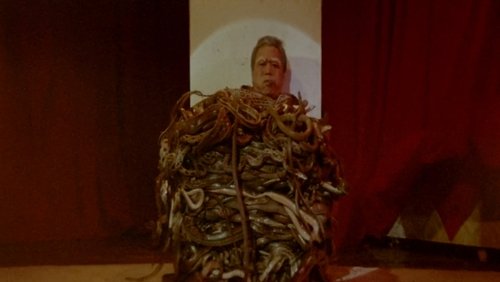 Calamity of Snakes