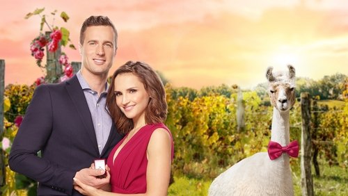 Valentine in the Vineyard