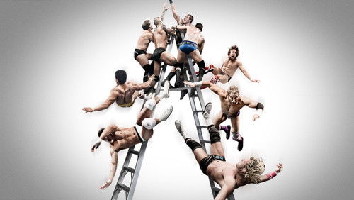 WWE Money in the Bank 2013