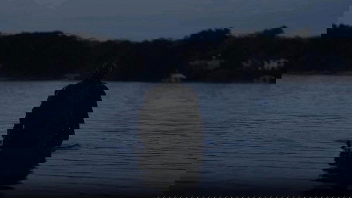 Lanier