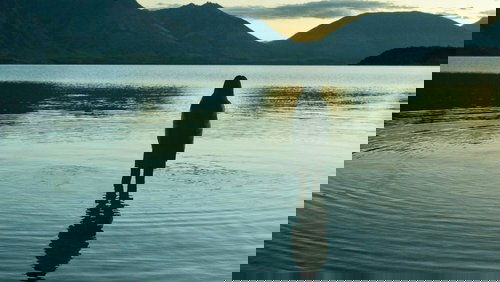 Top of the Lake