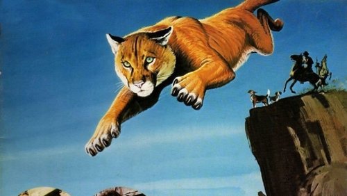 Run, Cougar, Run