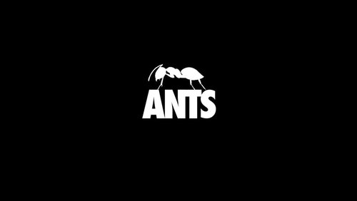 City Of Ants
