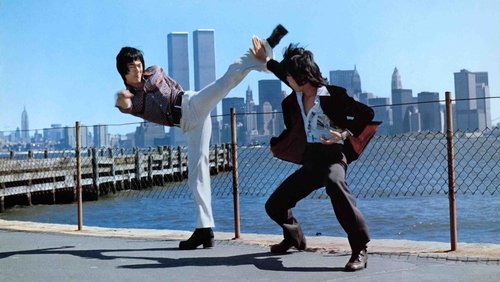 Bruce Lee: The Man, The Myth