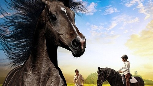 The Dark Horse