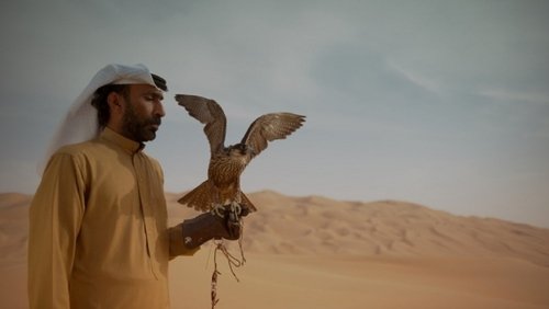 History of The Emirates