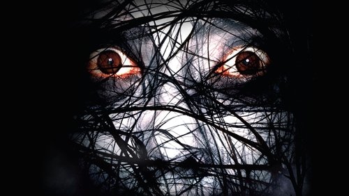 The Grudge 2