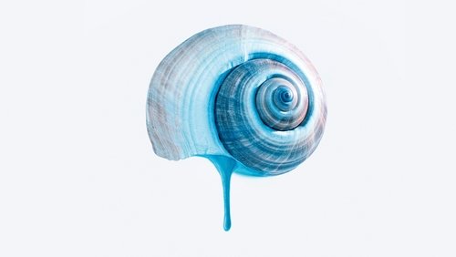 The Blue Trail