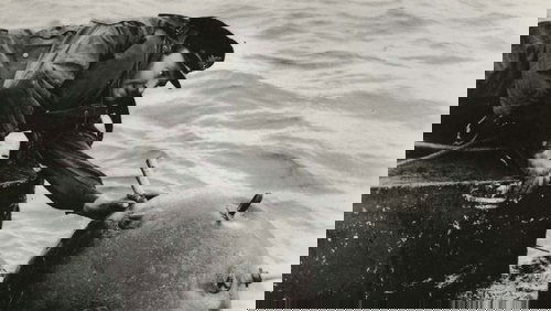 Above Us the Waves