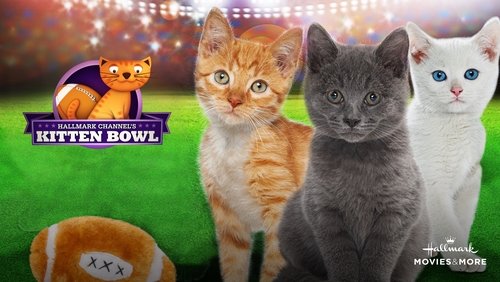 Kitten Bowl
