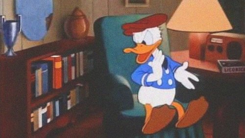 Donald's Off Day