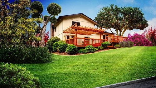 Curb Appeal Xtreme