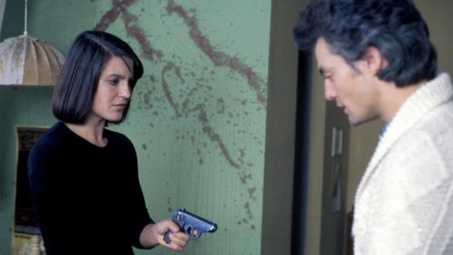 The Lost Honor of Katharina Blum