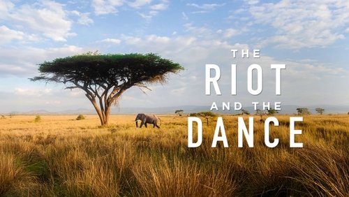 The Riot and the Dance
