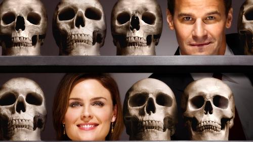 Bones