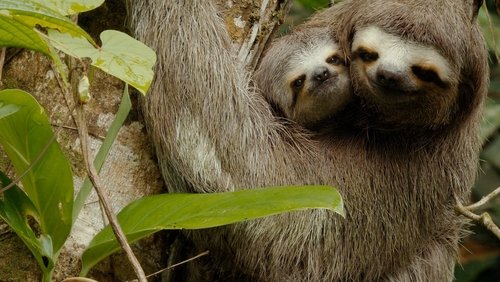 Colombia - Wild and Free