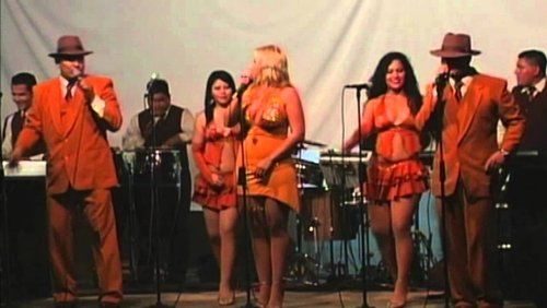 Any Velásquez Orchestra - Cumbias To Enjoy