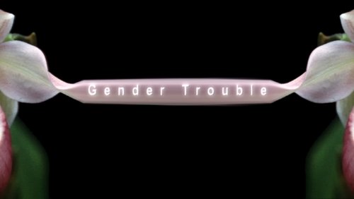 Gender Trouble