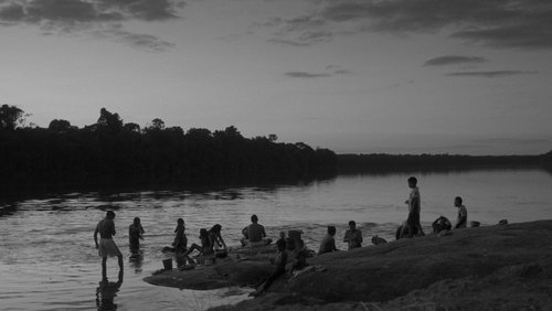 Adieu sauvage