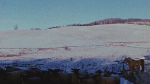 Horizons