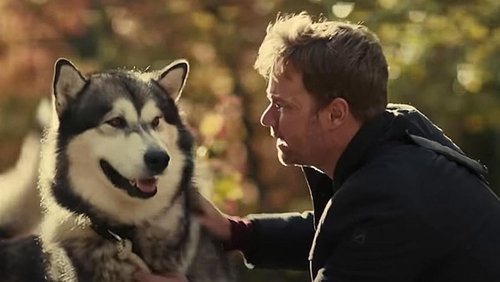 Hero Dog: The Journey Home