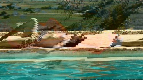 The Swimming Pool