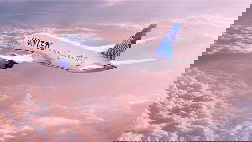 Love in Plane Sight
