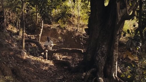 Papa Machete