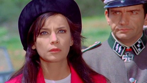 A Woman in the Resistance
