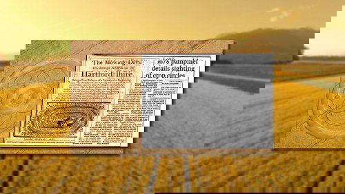 Crop Circle Realities