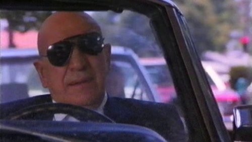 The Hollywood Detective