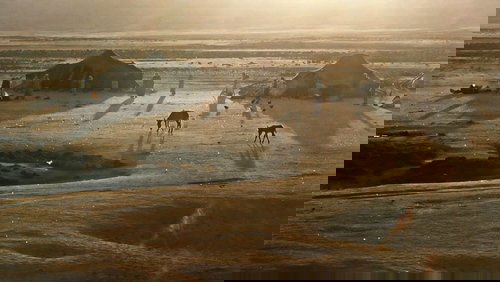 In the Beginning
