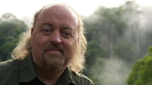 Bill Bailey's Jungle Hero