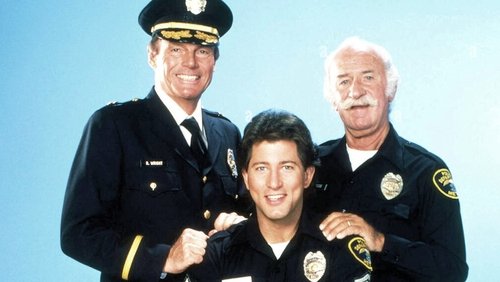 The Last Precinct