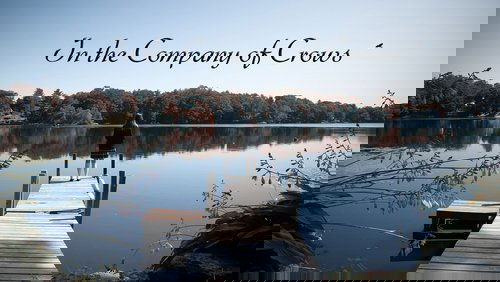 In the Company of Crows
