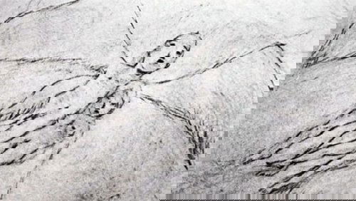 A Feather Stare at the Dark