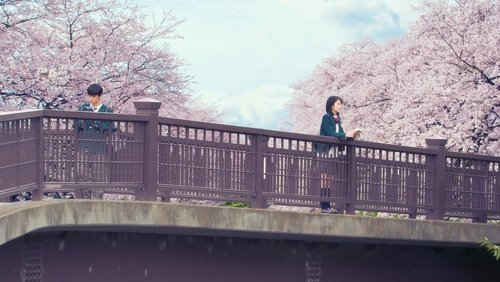 Let Me Eat Your Pancreas