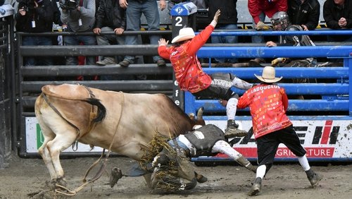Rodéo Québec