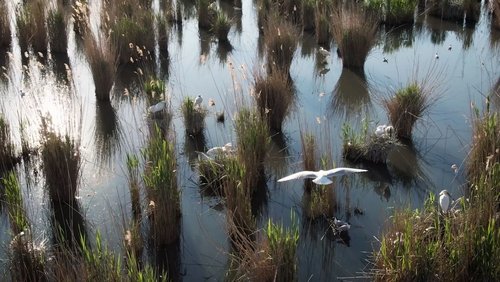 Land of Waters: Created by Man, Overtaken by Nature
