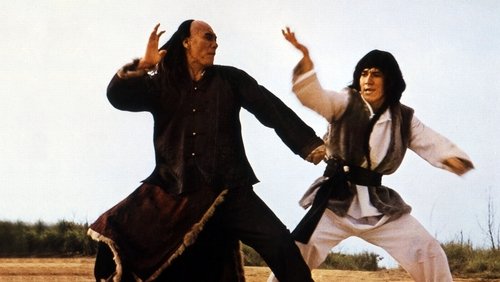 Snake & Crane Arts of Shaolin